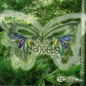 Avatar for Many Angels