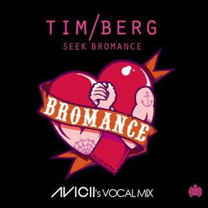 Bromance (The Love You Seek)