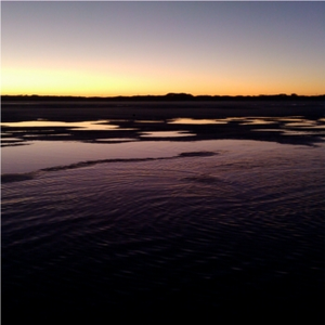 brightest before twilight