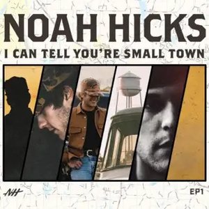 I Can Tell You're Small Town - EP