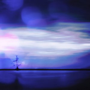孤立の生涯
