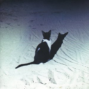 人で無い音。