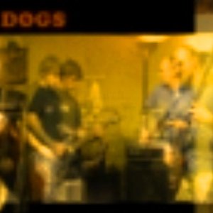 Pigs and Dogs için avatar