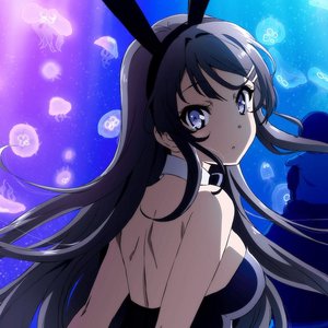Avatar di Mai Sakurajima(CV:Asami Seto)