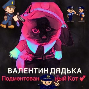 Подментованный кот