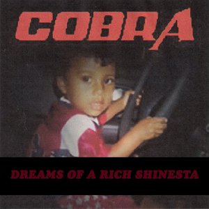 Dreams of a Rich Shinesta