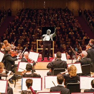 The Metropolitan Philharmonic Orchestra & Bernhard Jarvis 的头像