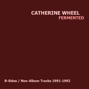 Fermented (B-Sides / Non-Album Tracks 1991-1992)