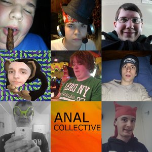 Image for 'Anal Collective'