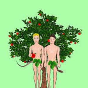 Adam & Steve 的头像