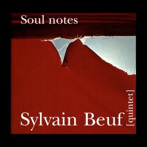 Soul Notes