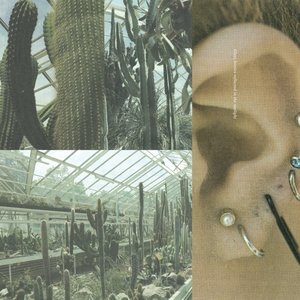 The Fragility of Happiness