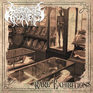 Rare Exhibitions