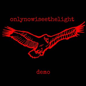 onlynowIseethelight 的头像
