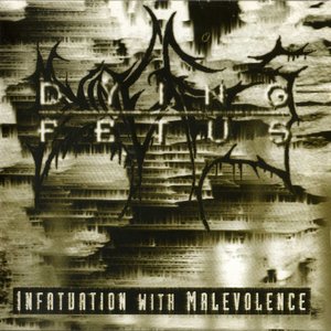 Infatuation With Malevolence