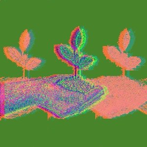 Grow