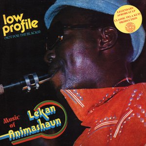 Lekan Animashaun のアバター