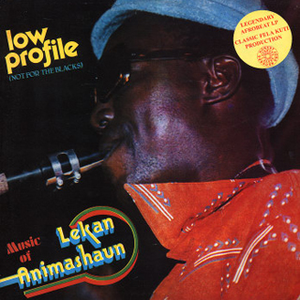 Lekan Animashaun photo provided by Last.fm