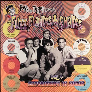 Fuzz, Flaykes & Shakes, vol. 4