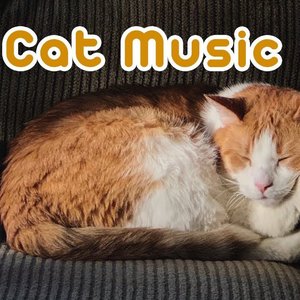 Cat Music Dreams için avatar
