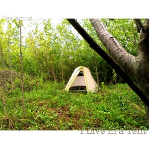 I Live in a Tent