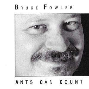 Ants Can Count