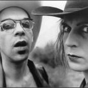 Sheep On Drugs 的头像