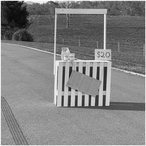 Unsweetened Lemonade (Stripped) - Single