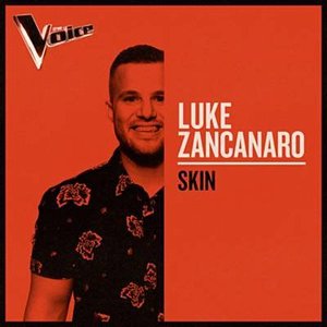 Skin (The Voice Australia 2019 Performance / Live)