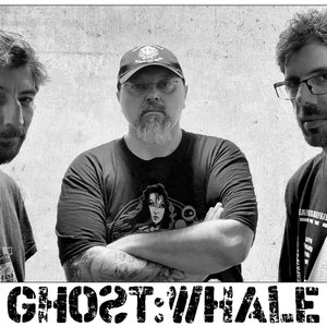 Ghost:Whale 的头像