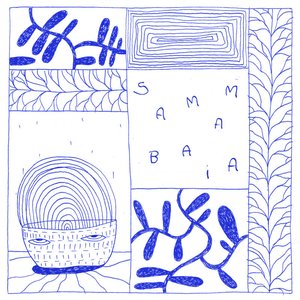 Samambaia