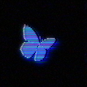 NXMVD 的头像