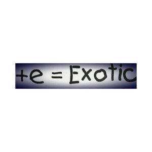 +e=Exotic 的头像