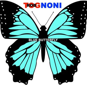 Blue Butterfly