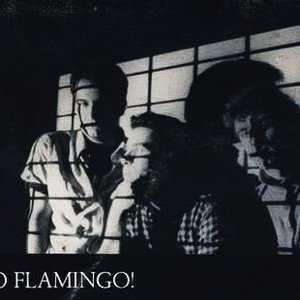 Go Flamingo! 的头像