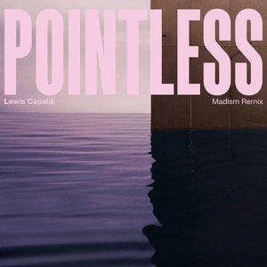 Pointless (Madism Remix) - Single