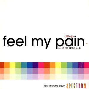 Feel My Pain / In The Grind V.I.P