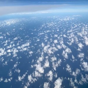 B42021 - Single