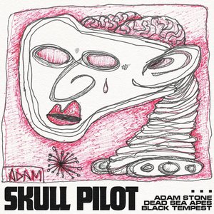 Skull Pilot