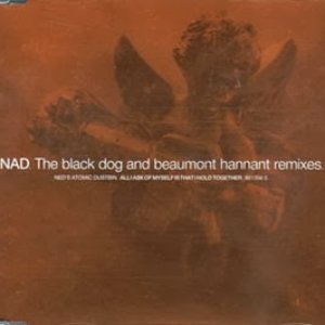 All I Ask of Myself Is That I Hold Together (The Black Dog and Beaumont Hannant Remixes)