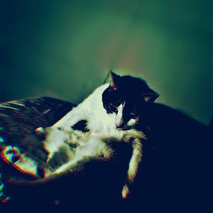 Tolerating Theory