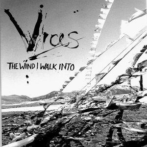 The Wind I Walk Into