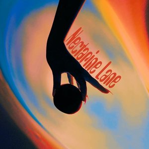 Nectarine Lane - Single