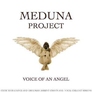 Voice of an Angel (Celtic Elves Lounge and Gregorian Ambient Chants and Vocal Chillout Sessions)