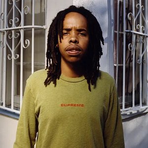 Earl Sweatshirt feat. Standing On The Corner 的头像