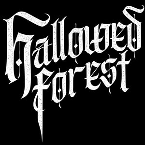 Hallowed Forest 的头像