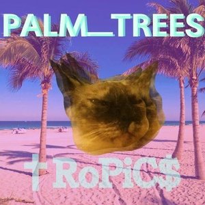 palm_trees 的头像