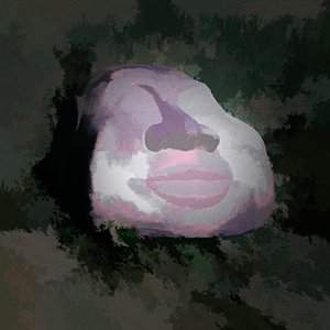 Fractured Echoes