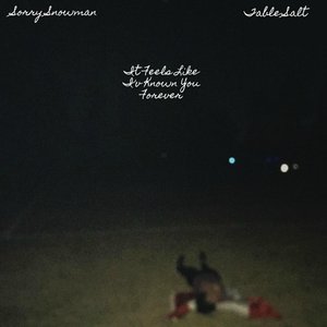 It Feels Like I've Known You Forever - EP