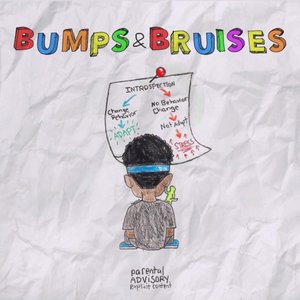 Image for 'Bumps & Bruises'